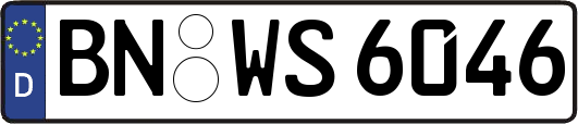 BN-WS6046