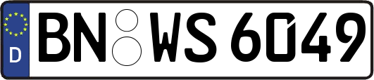 BN-WS6049