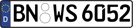 BN-WS6052