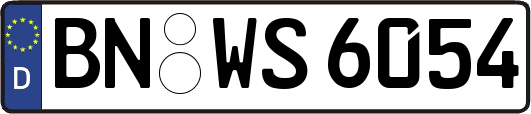 BN-WS6054