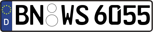 BN-WS6055