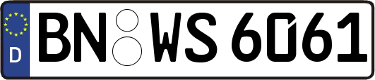BN-WS6061