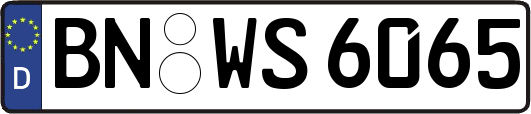 BN-WS6065
