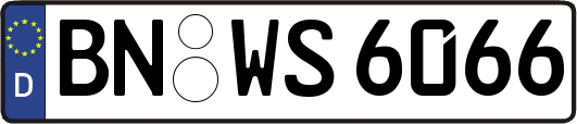 BN-WS6066