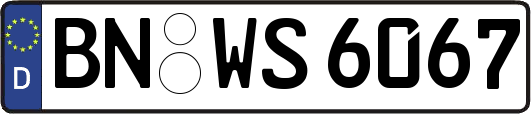 BN-WS6067