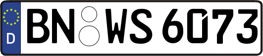 BN-WS6073