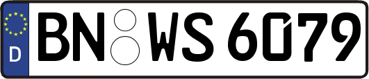 BN-WS6079