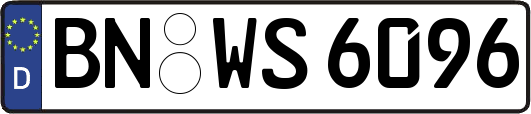 BN-WS6096