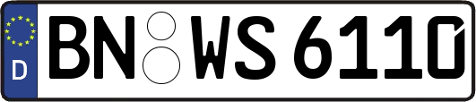BN-WS6110