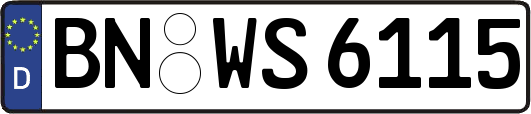 BN-WS6115