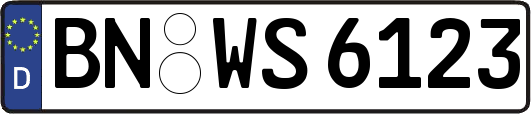 BN-WS6123