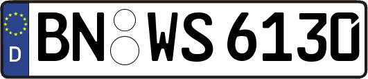 BN-WS6130