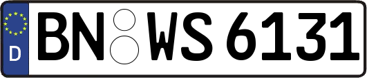 BN-WS6131