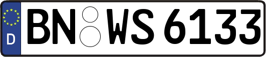 BN-WS6133