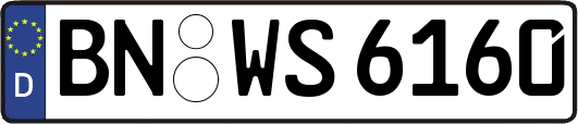 BN-WS6160