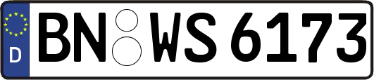 BN-WS6173