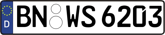BN-WS6203