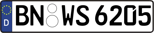 BN-WS6205