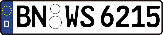 BN-WS6215