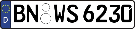 BN-WS6230