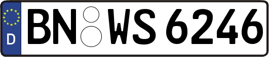 BN-WS6246
