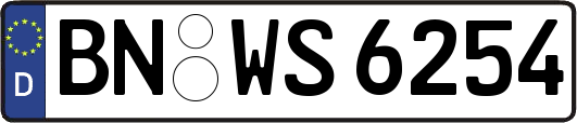 BN-WS6254
