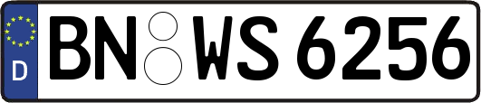BN-WS6256