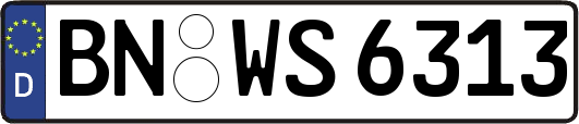 BN-WS6313