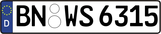 BN-WS6315