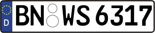 BN-WS6317