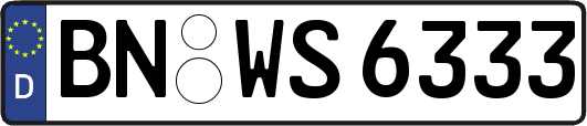 BN-WS6333