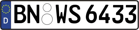 BN-WS6433