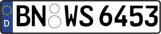 BN-WS6453