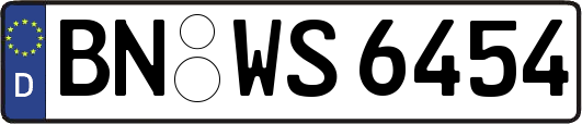 BN-WS6454