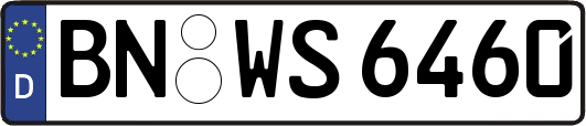 BN-WS6460