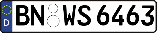BN-WS6463