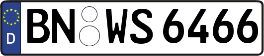 BN-WS6466