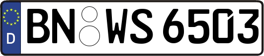 BN-WS6503