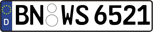 BN-WS6521