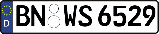 BN-WS6529