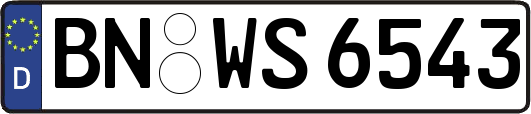 BN-WS6543
