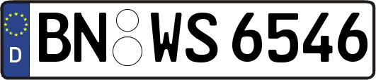 BN-WS6546