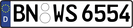 BN-WS6554