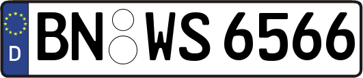 BN-WS6566