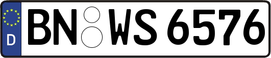 BN-WS6576