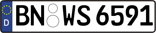 BN-WS6591