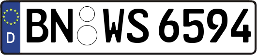 BN-WS6594