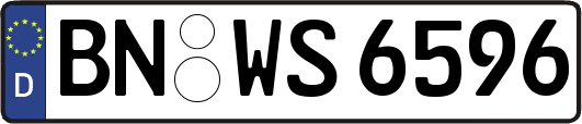 BN-WS6596