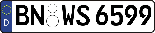 BN-WS6599