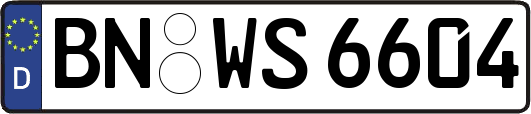 BN-WS6604